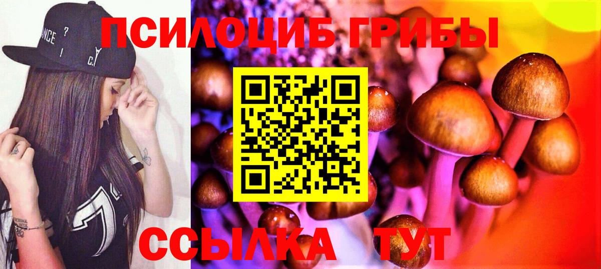 Псилоцибиновые грибы мухоморы Арзамас