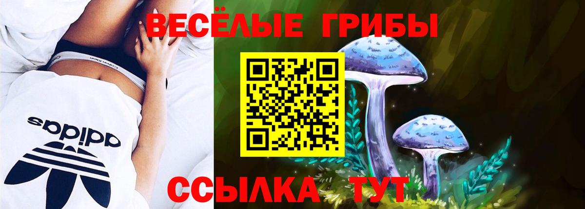 Псилоцибиновые грибы мухоморы  как найти закладки  Арзамас  Вход с VPN  Псилоцибиновые грибы Psilocybine cubensis 